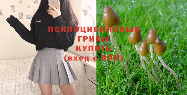 молекула духа Нефтегорск