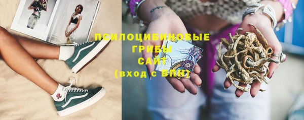 прущая мука Нея